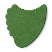 Delrex-Fin-Green-Home