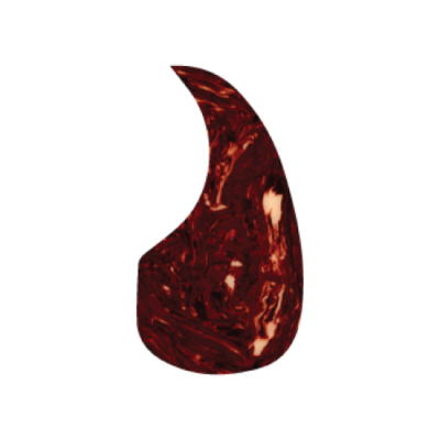 SMALL SHELL